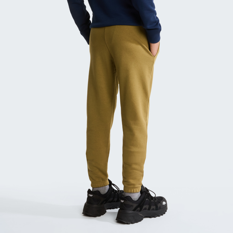 tnf_asset:NF0A8GR62EL-ALT3