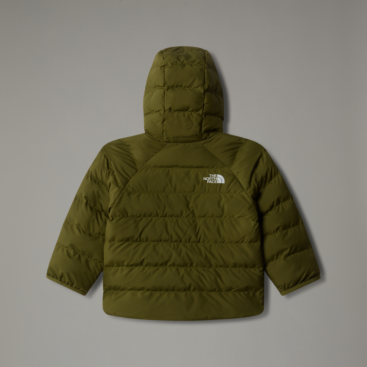 tnf_asset:NF0A88W3PIB-ALT1