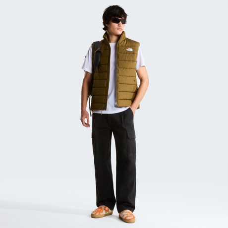 tnf_asset:NF0A8H0N2EK-ALT1
