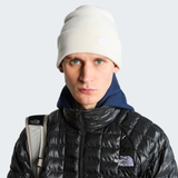 tnf_asset:NF0A5FW1QLI-ALT1