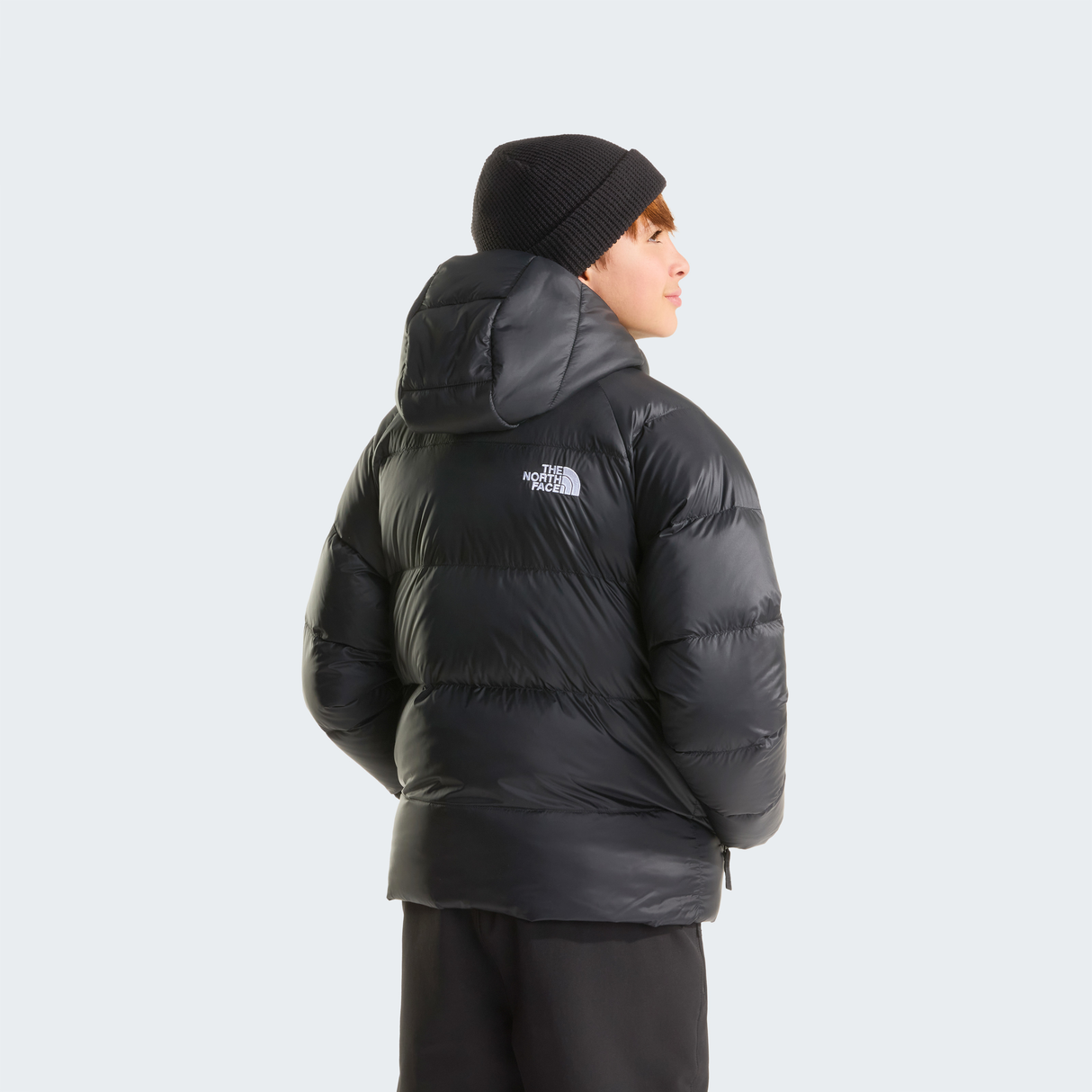 tnf_asset:NF0A8H3RJK3-ALT3
