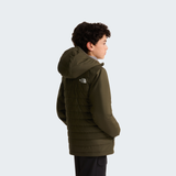 tnf_asset:NF0A89HR21L-ALT3