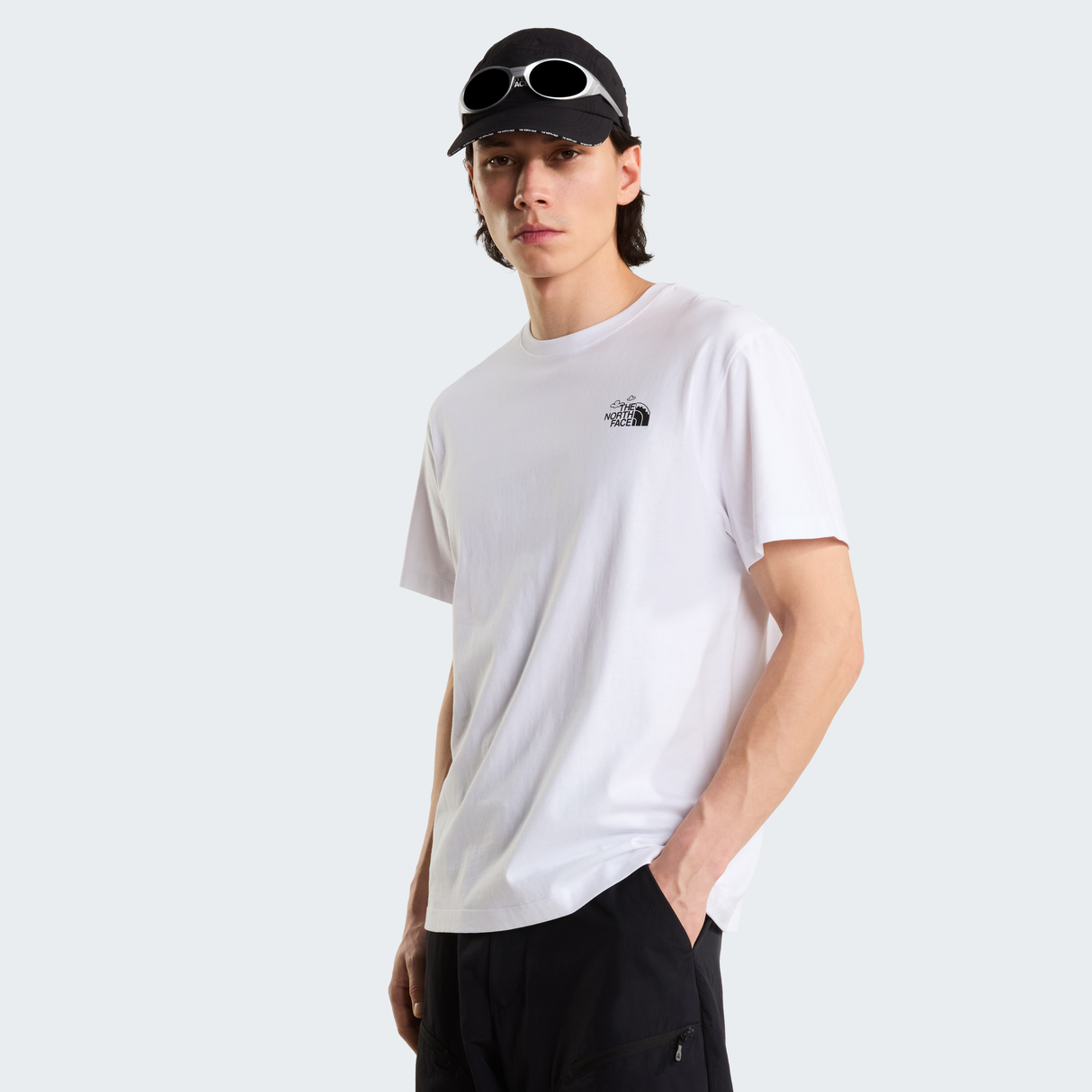 tnf_asset:NF0A8JPQFN4-ALT3