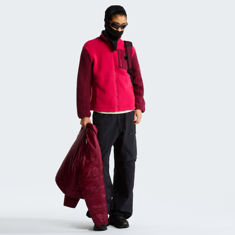 tnf_asset:NF0A8E88S69-ALT1