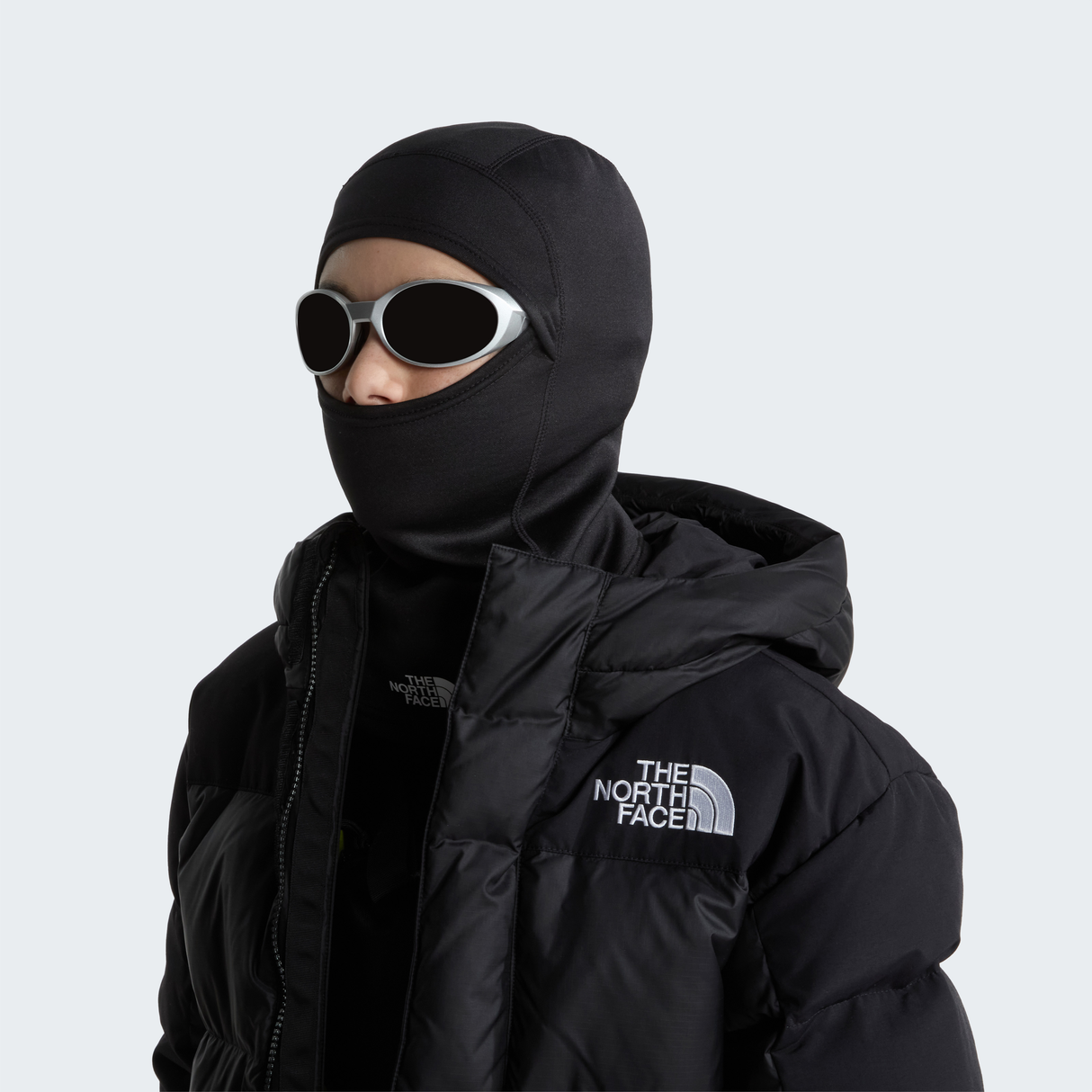 tnf_asset:NF0A8CGVJK3-ALT1