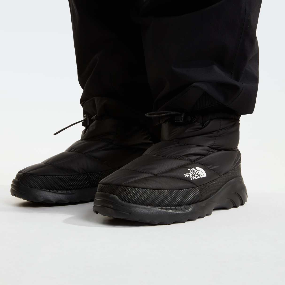 tnf_asset:NF0A8DAA051-ALT2