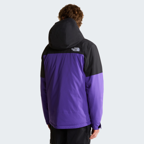 tnf_asset:NF0A8H2DS96-ALT3