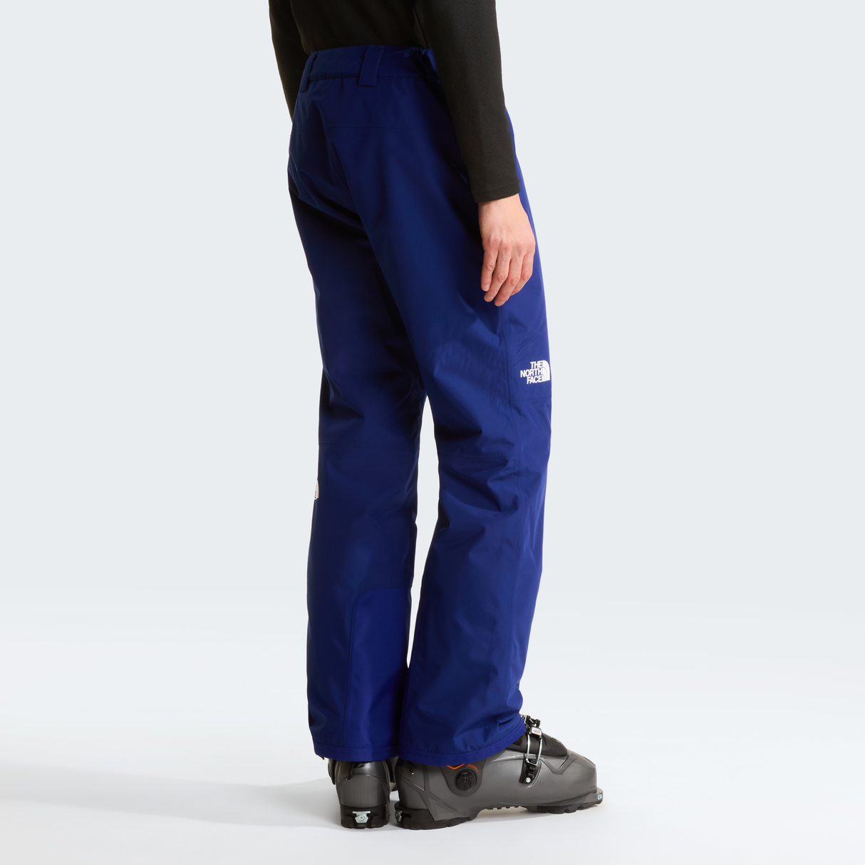 tnf_asset:NF0A87ZYNLV-ALT3