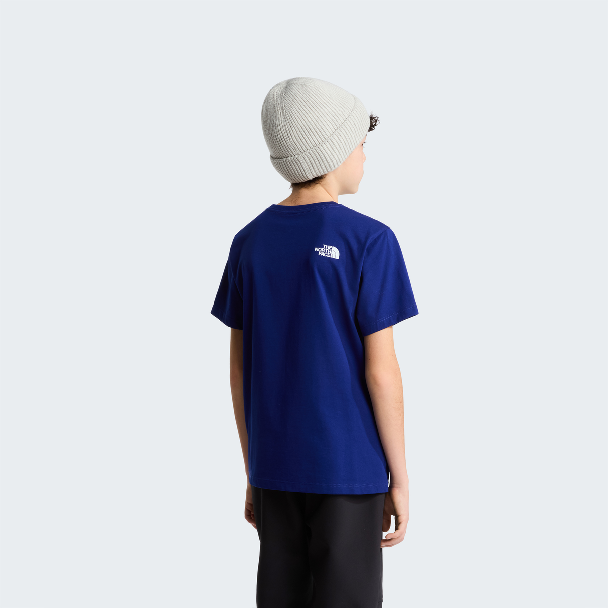 tnf_asset:NF0A8CZ8NLV-ALT3