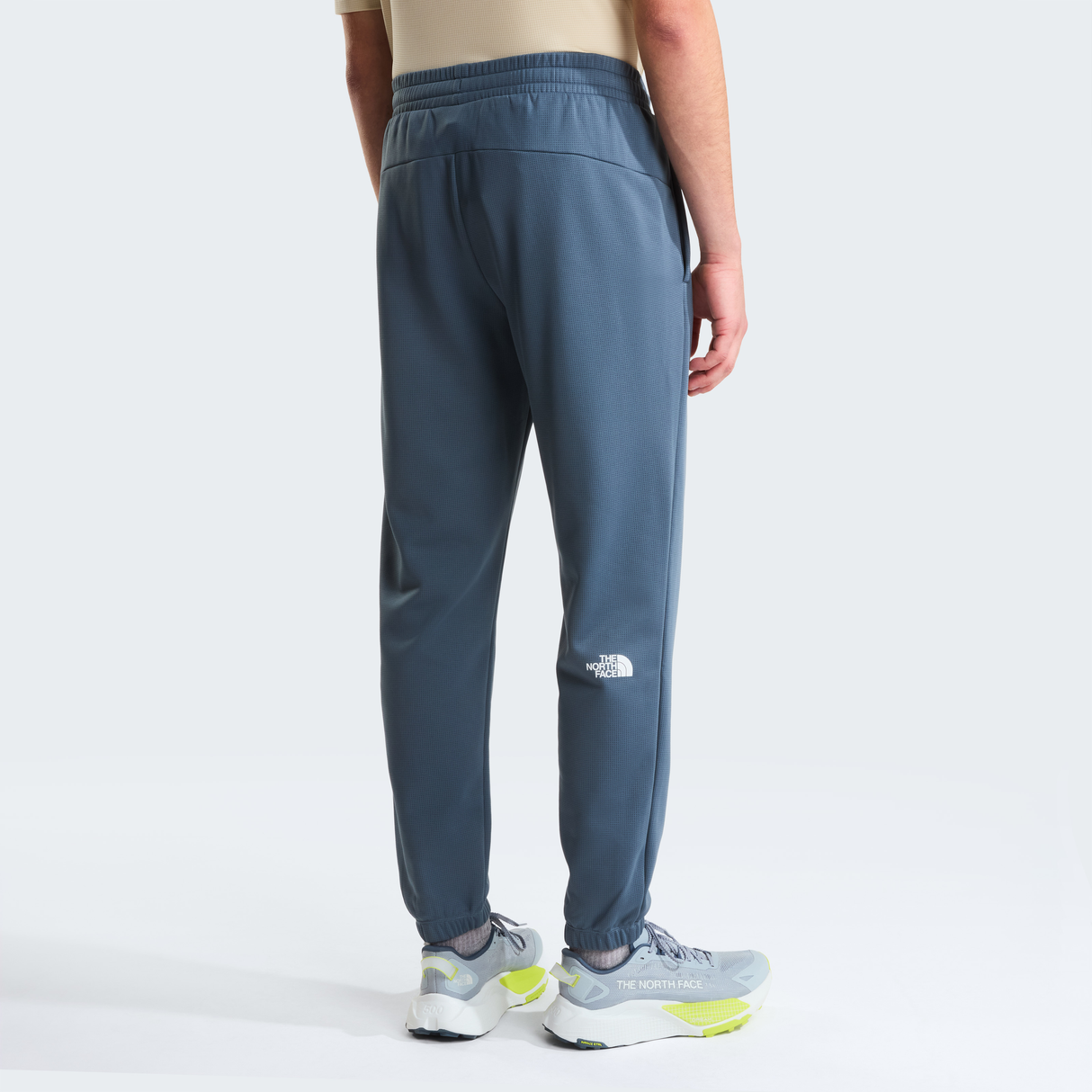tnf_asset:NF0A8DRSLGW-ALT3