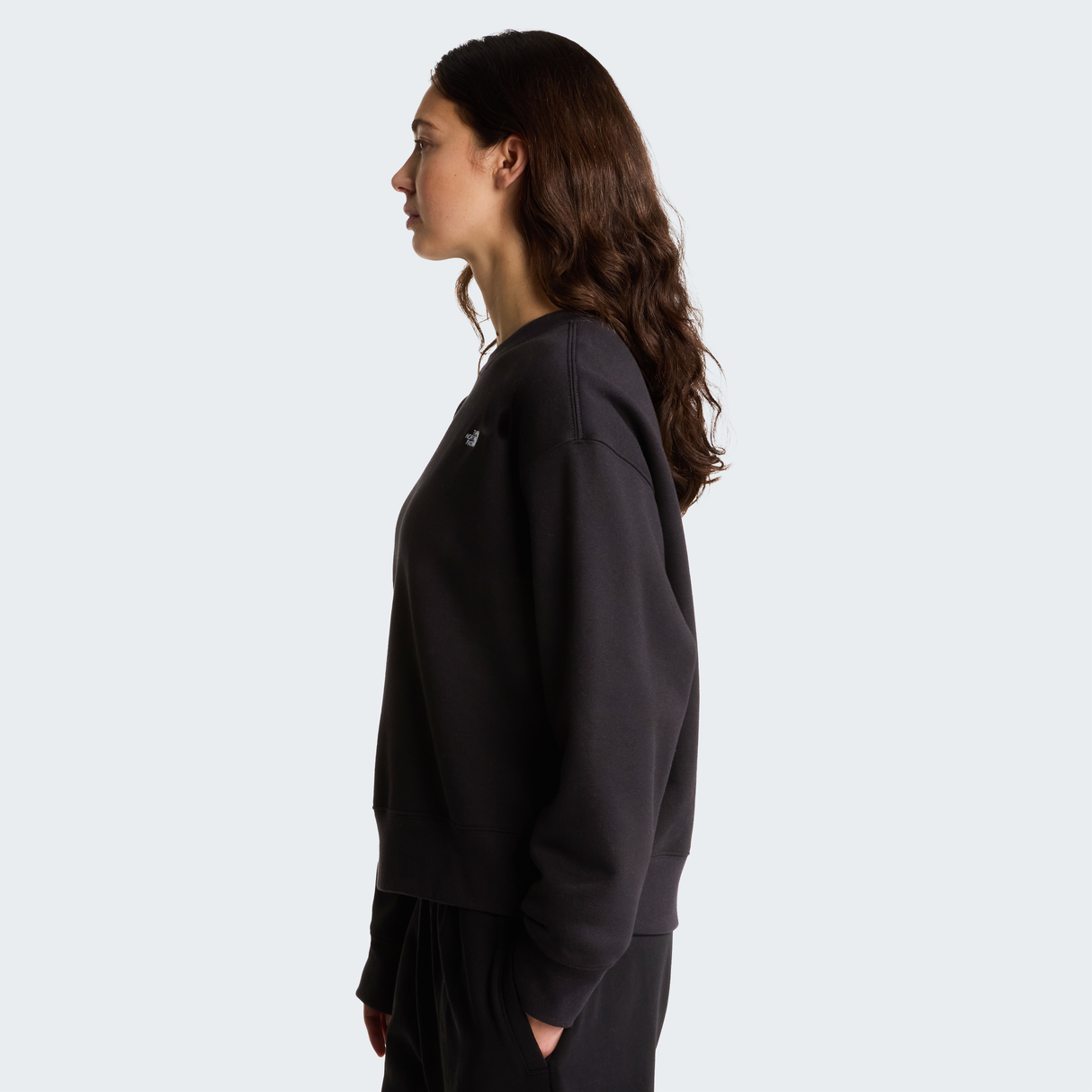 tnf_asset:NF0A8HBYJK3-ALT2