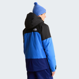 tnf_asset:NF0A8H24V7B-ALT3