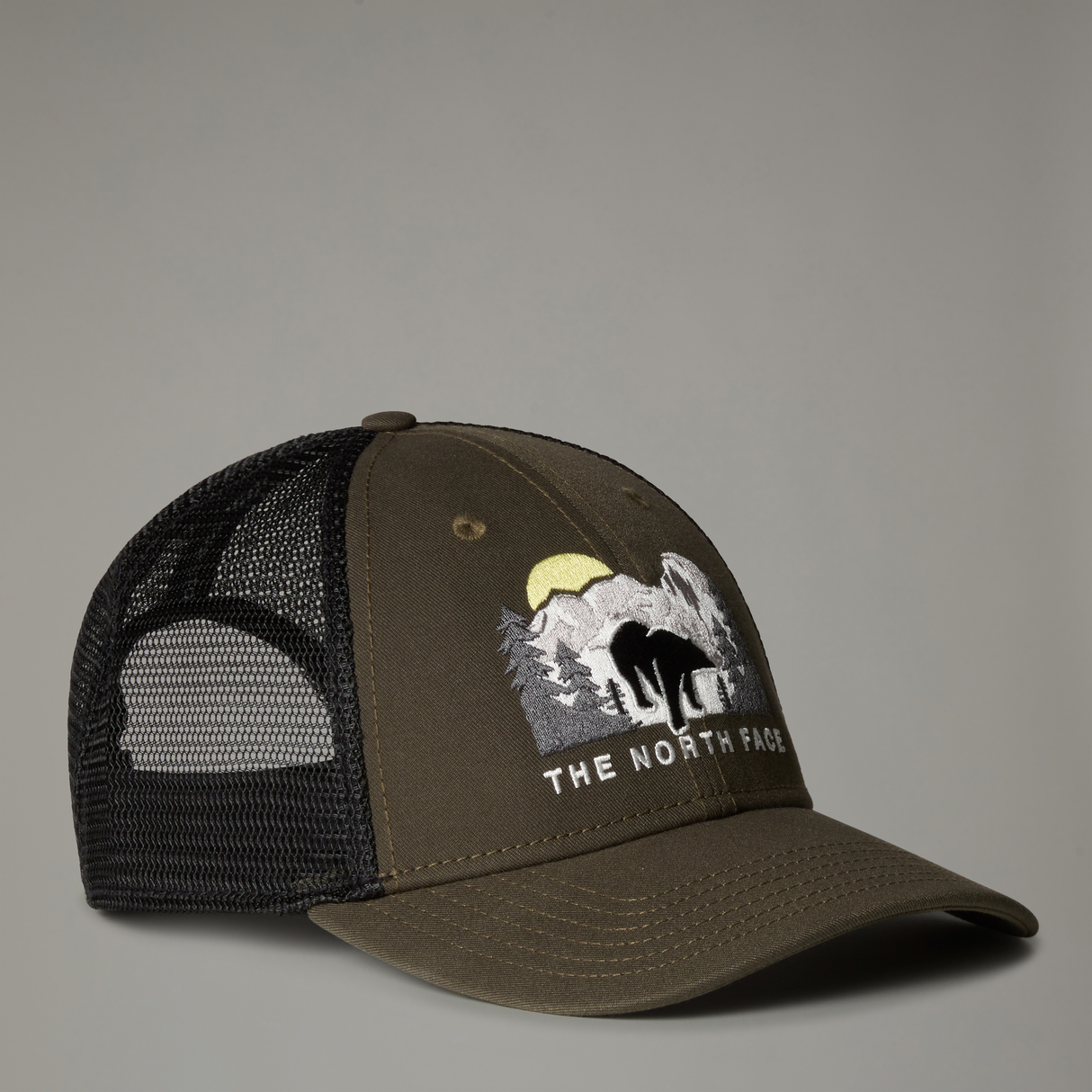 tnf_asset:NF0A7WH3YHO-HERO