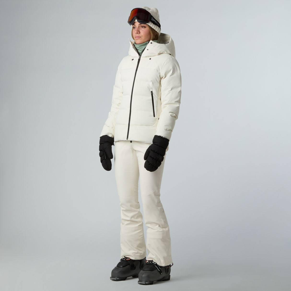 tnf_asset:NF0A87WSGOL-ALT1