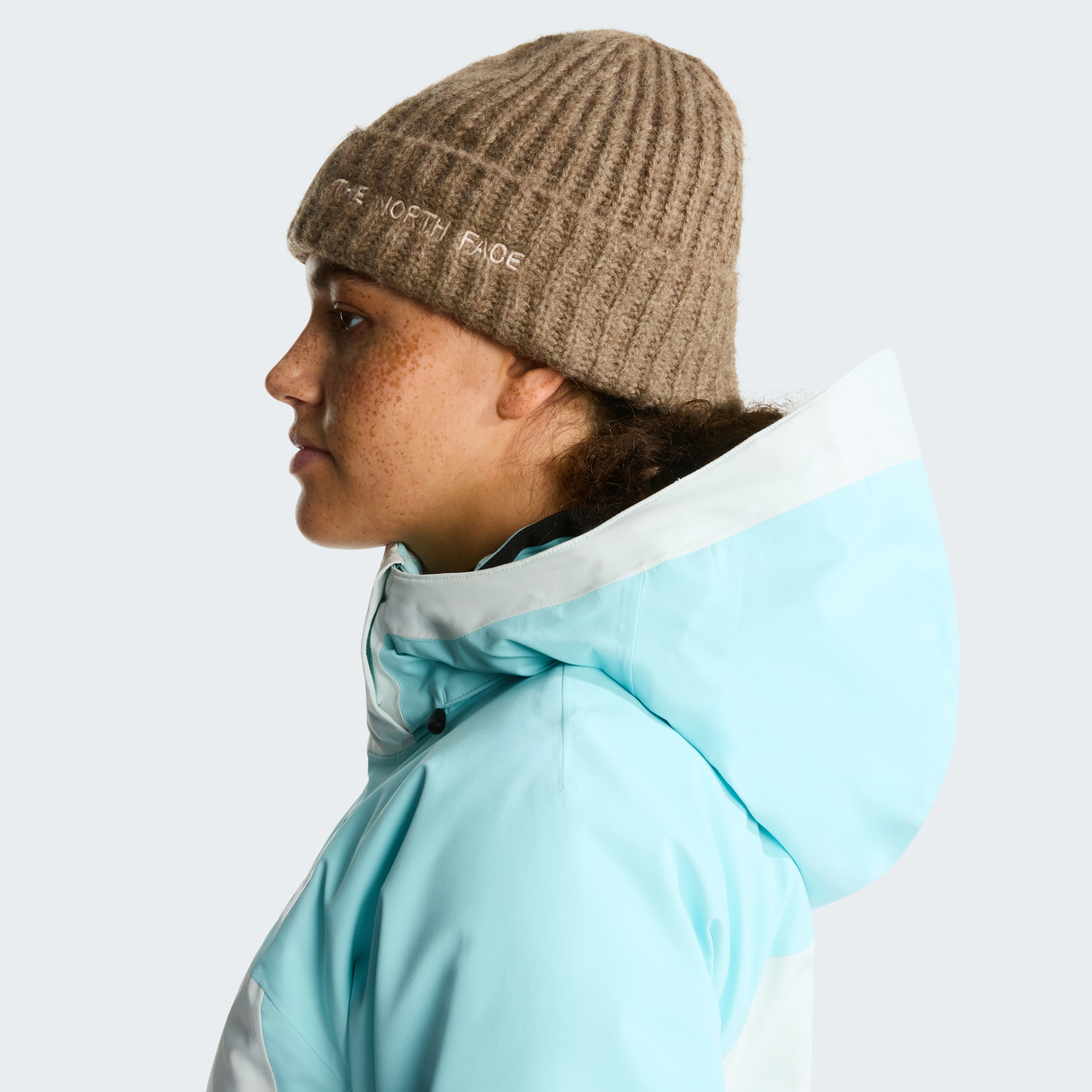 tnf_asset:NF0A887T2H9-ALT3
