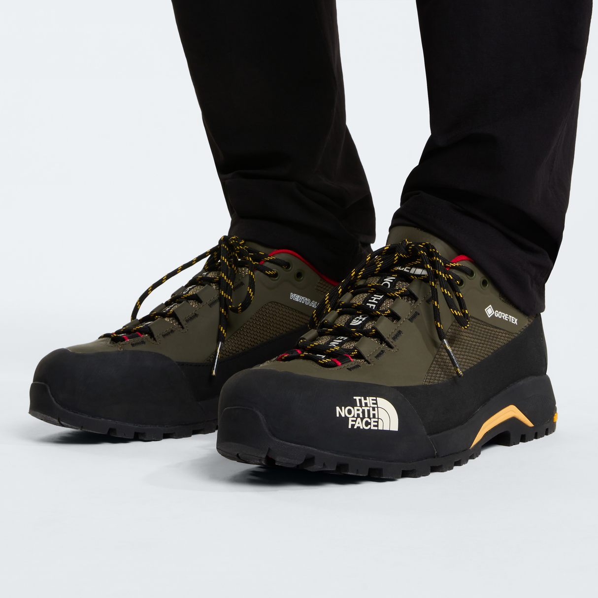 tnf_asset:NF0A83ND3F9-ALT2