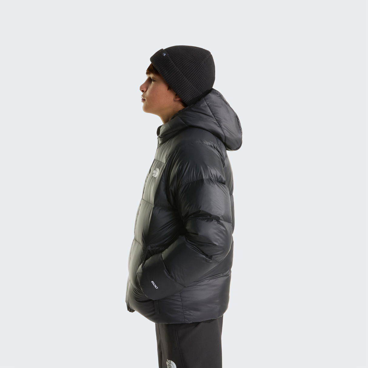 tnf_asset:NF0A8H3RJK3-ALT2