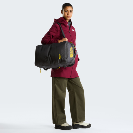 tnf_asset:NF0A8G6ZMVO-ALT1