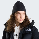 tnf_asset:NF0A8CQ2KS7-ALT1