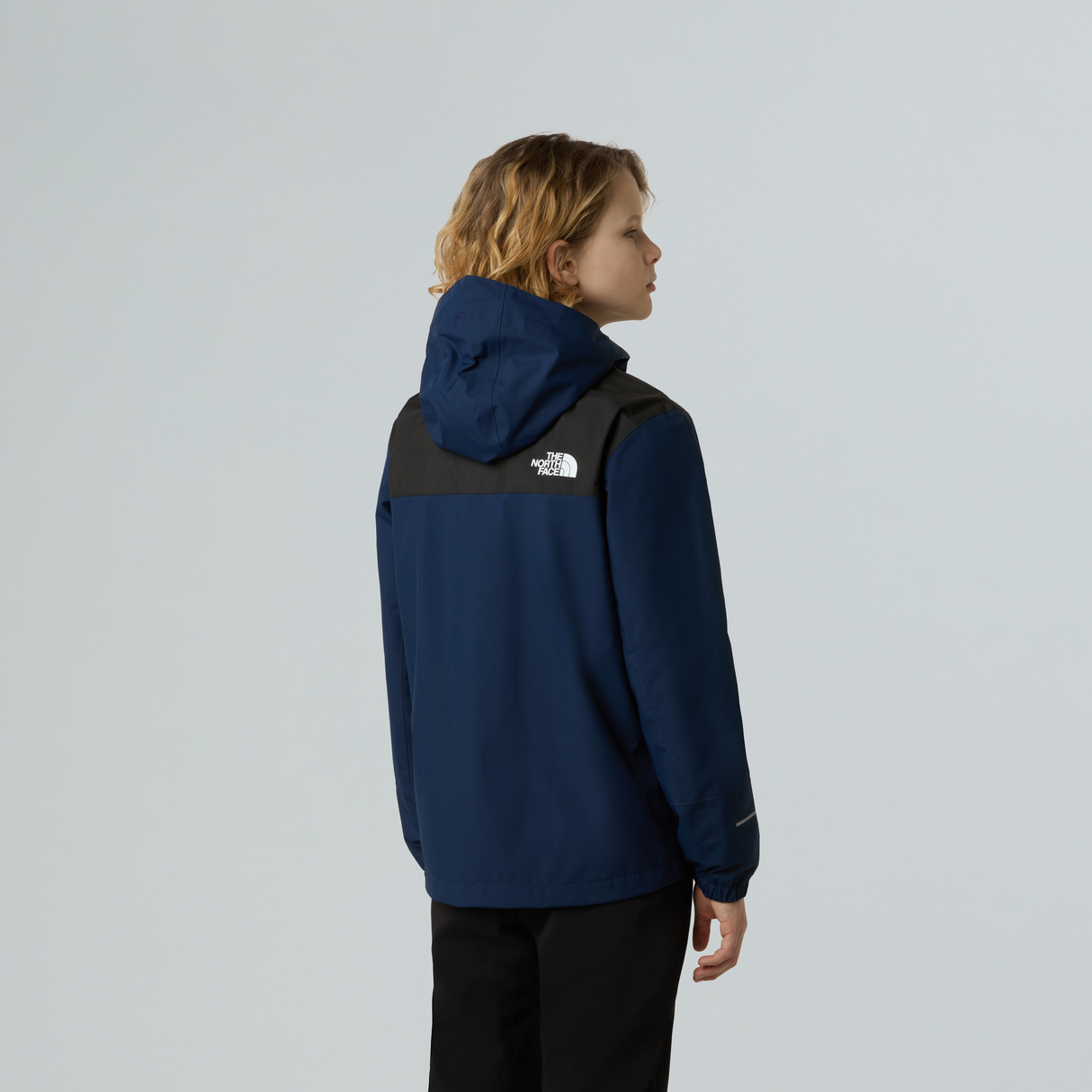 tnf_asset:NF0A8A488K2-ALT2
