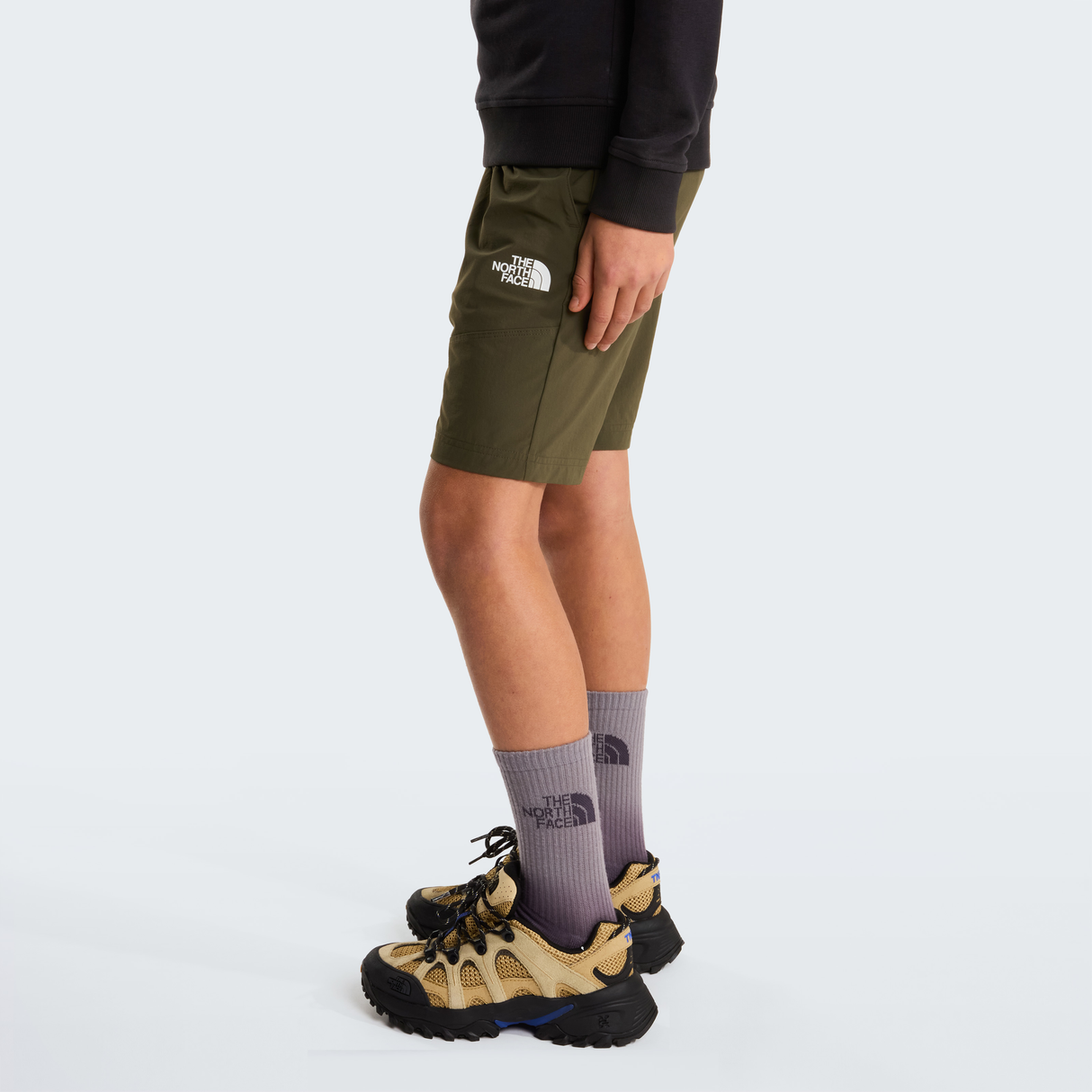 tnf_asset:NF0A8FYV21L-ALT2