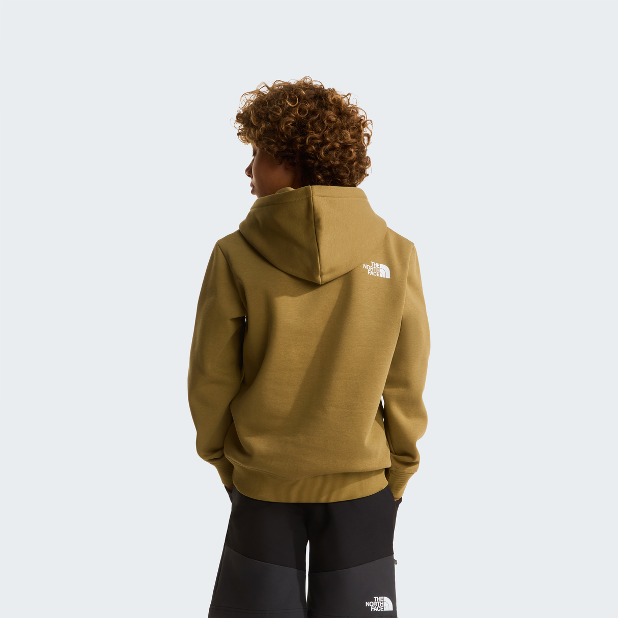 tnf_asset:NF0A8G1V2EL-ALT3