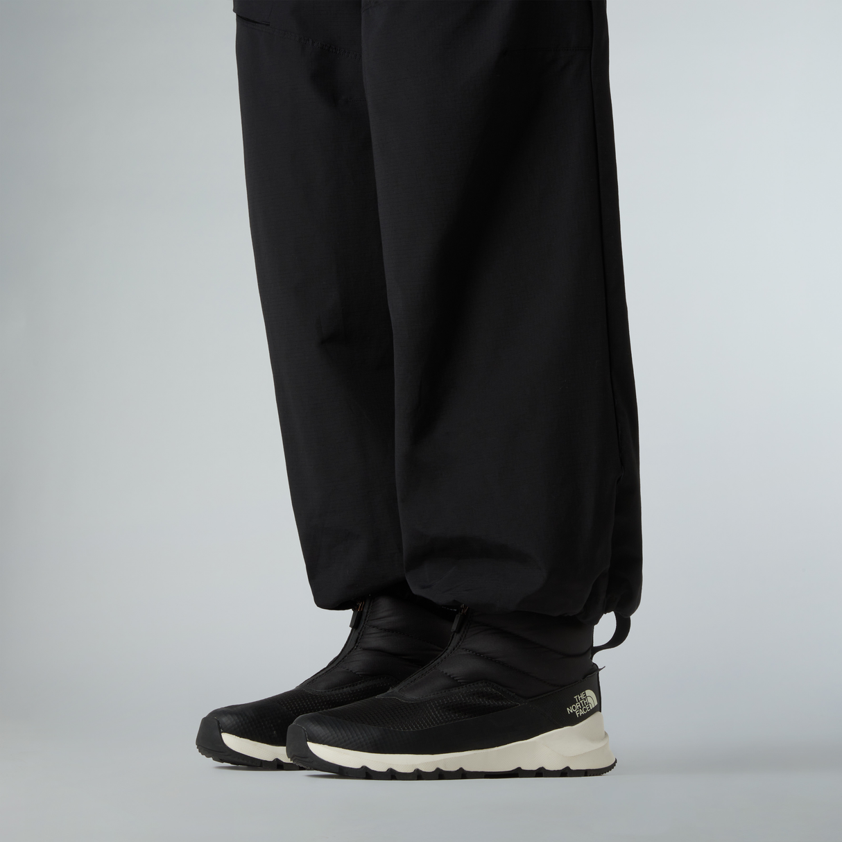 tnf_asset:NF0A5LWFR0G-ALT2