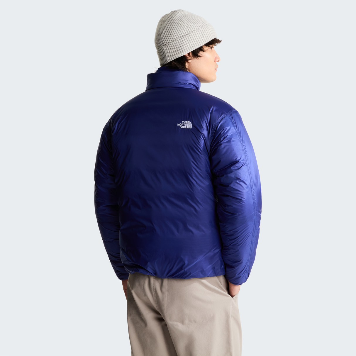 tnf_asset:NF0A8H0PNLV-ALT3