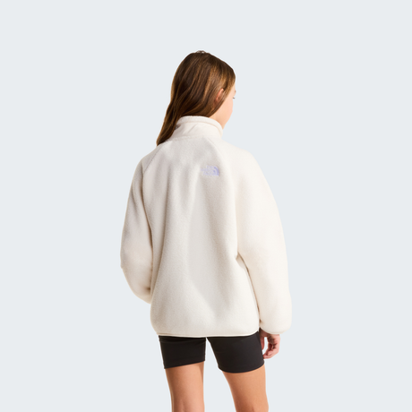 tnf_asset:NF0A8AZHQLI-ALT3