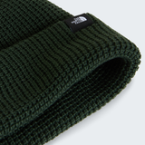 tnf_asset:NF0A8HMPNLW-ALT2