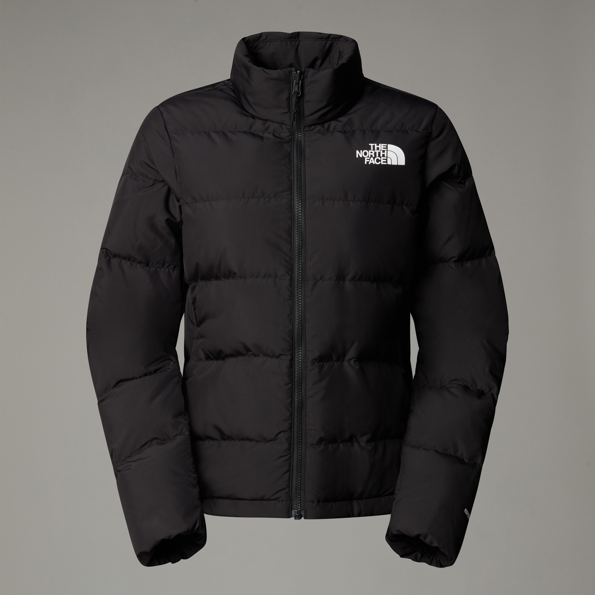 tnf_asset:NF0A84EY4H0-ALT3