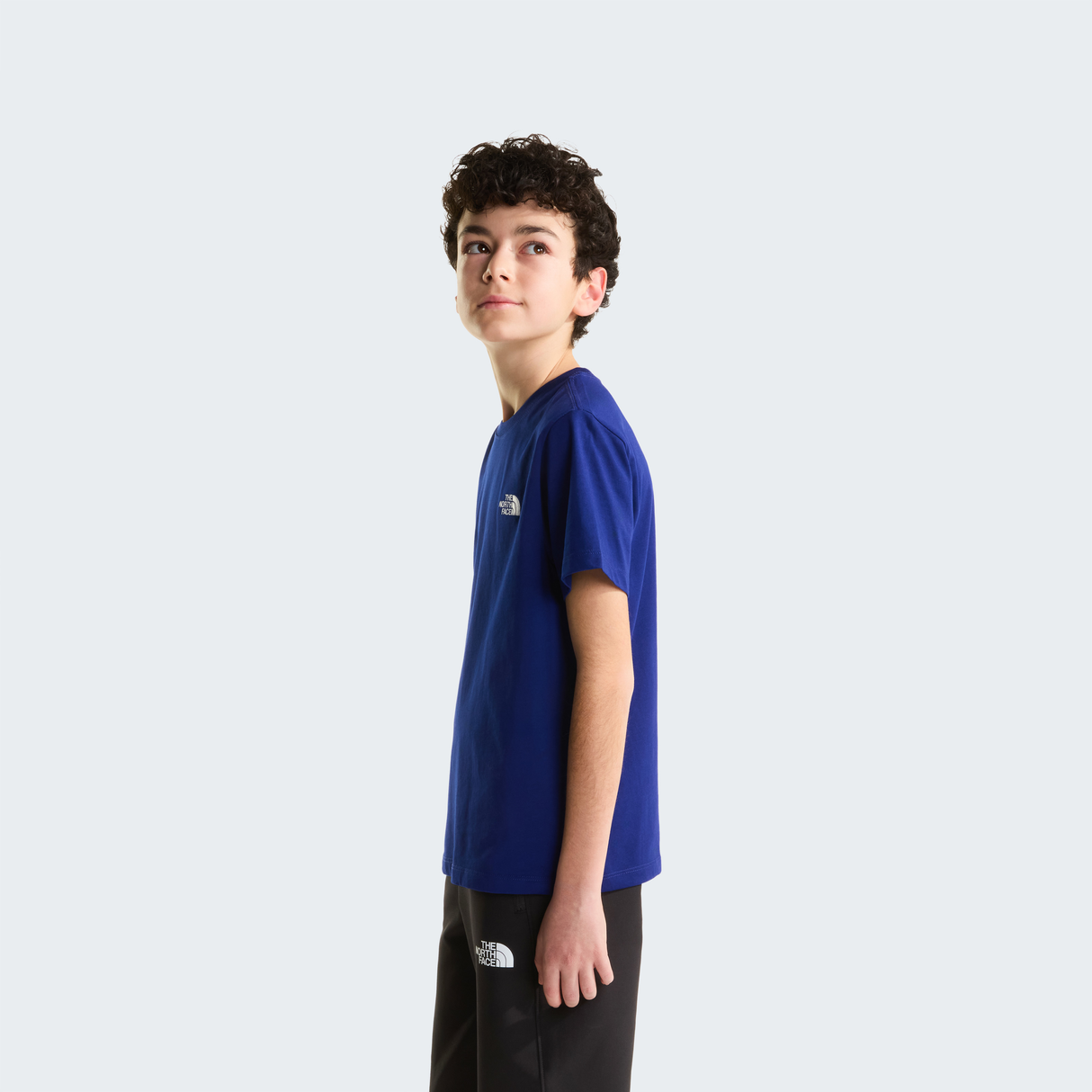tnf_asset:NF0A8F9ZNLV-ALT2