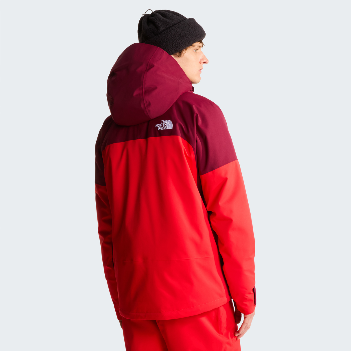 tnf_asset:NF0A8H24V4X-ALT3