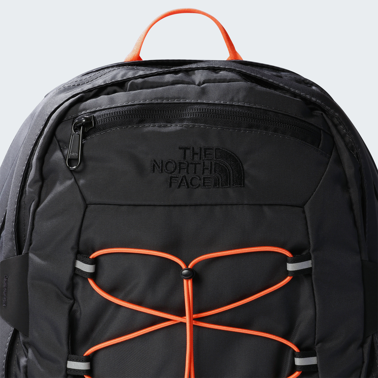 tnf_asset:NF00CF9CAOZ-ALT3