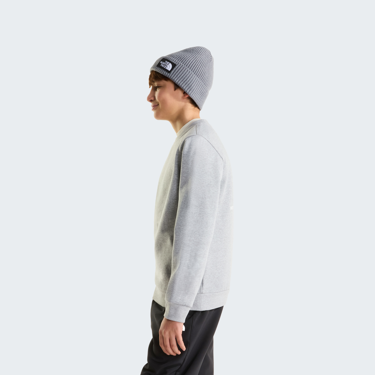 tnf_asset:NF0A8F9WCQO-ALT3