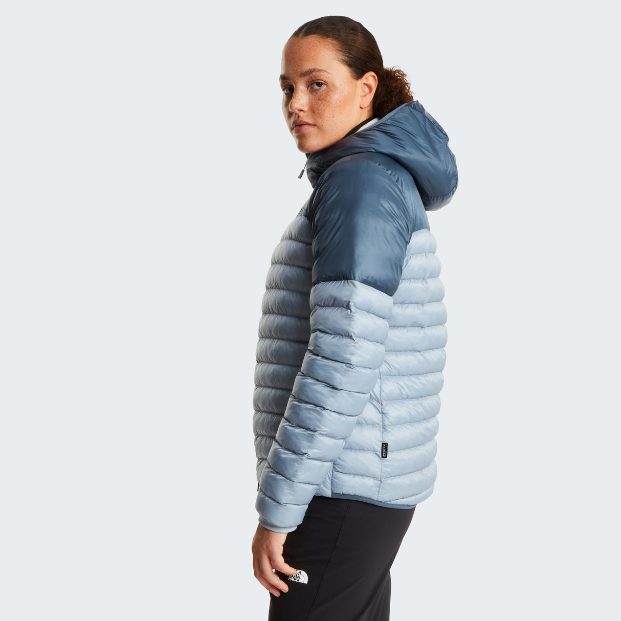 tnf_asset:NF0A8DEDGKP-ALT2