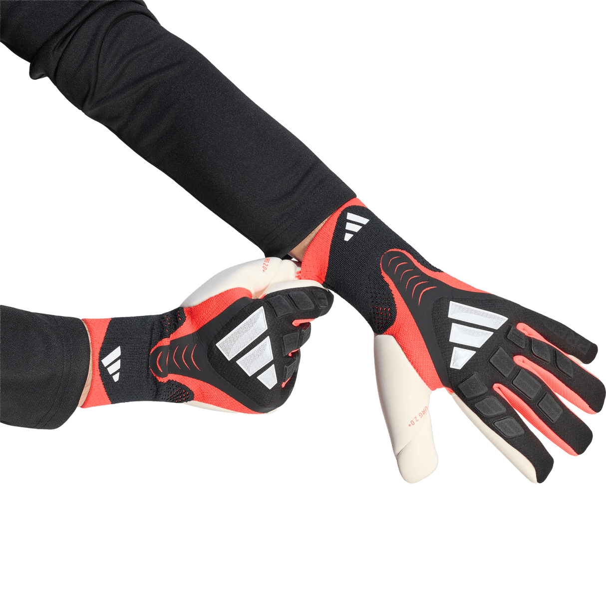 ADIDAS - Guanto Da Portiere Predator Pro - Black - image 4