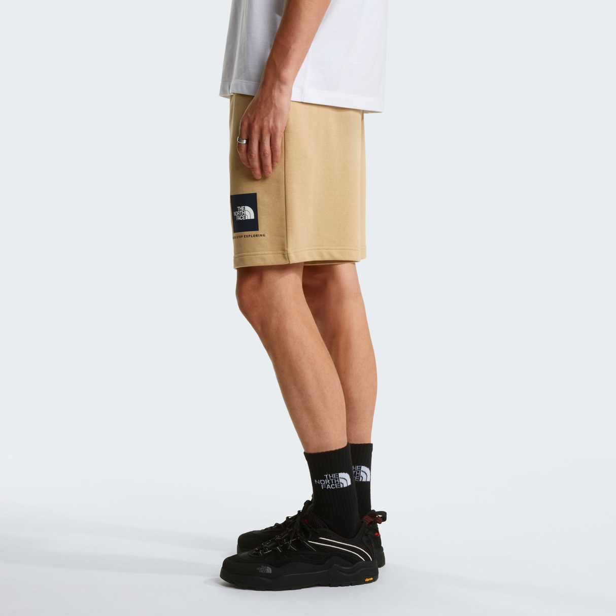 tnf_asset:NF0A8GQ8LK5-ALT2