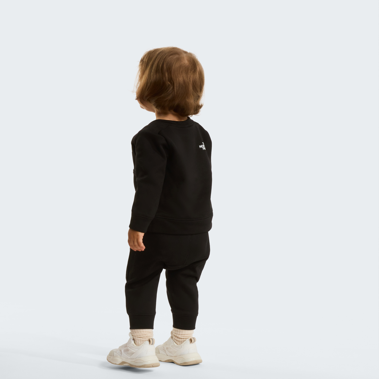 tnf_asset:NF0A8CV1JK3-ALT1