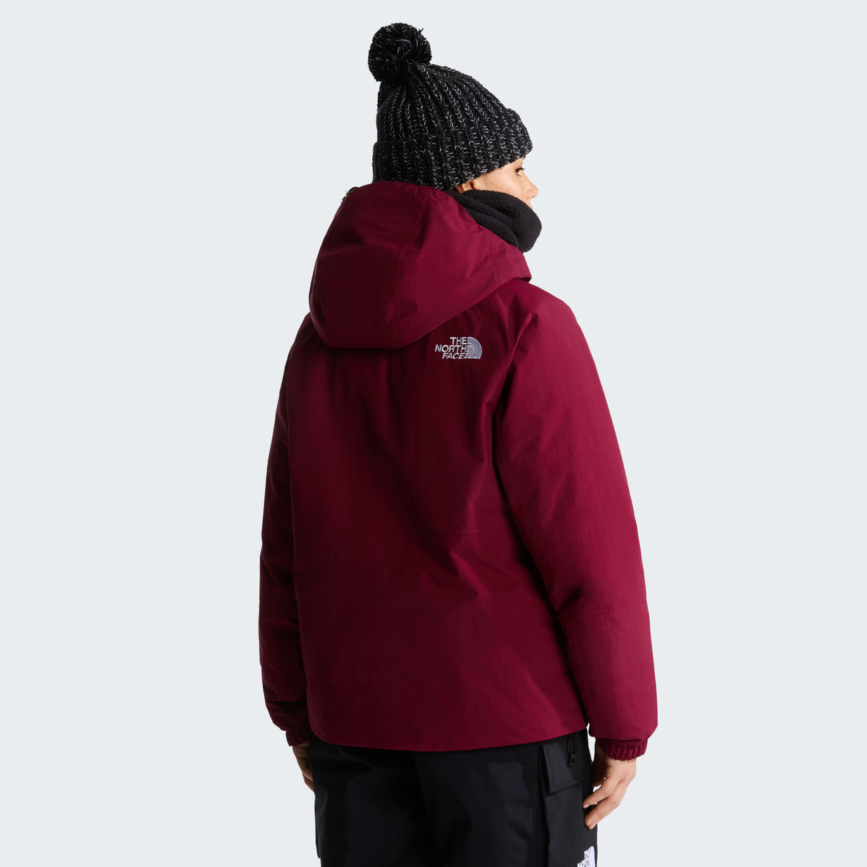 tnf_asset:NF0A8H30MVO-ALT3