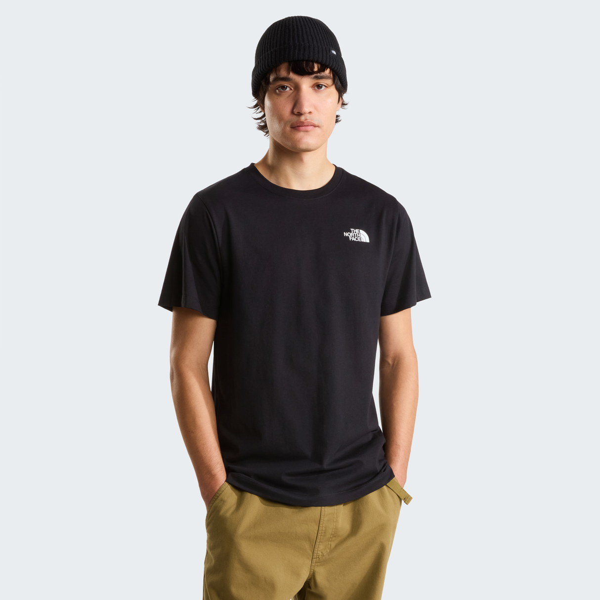 tnf_asset:NF0A8GV0JK3-ALT1