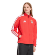 ADIDAS - Sl Benfica Home Anthem Jacket - Uomo - Black - image 6