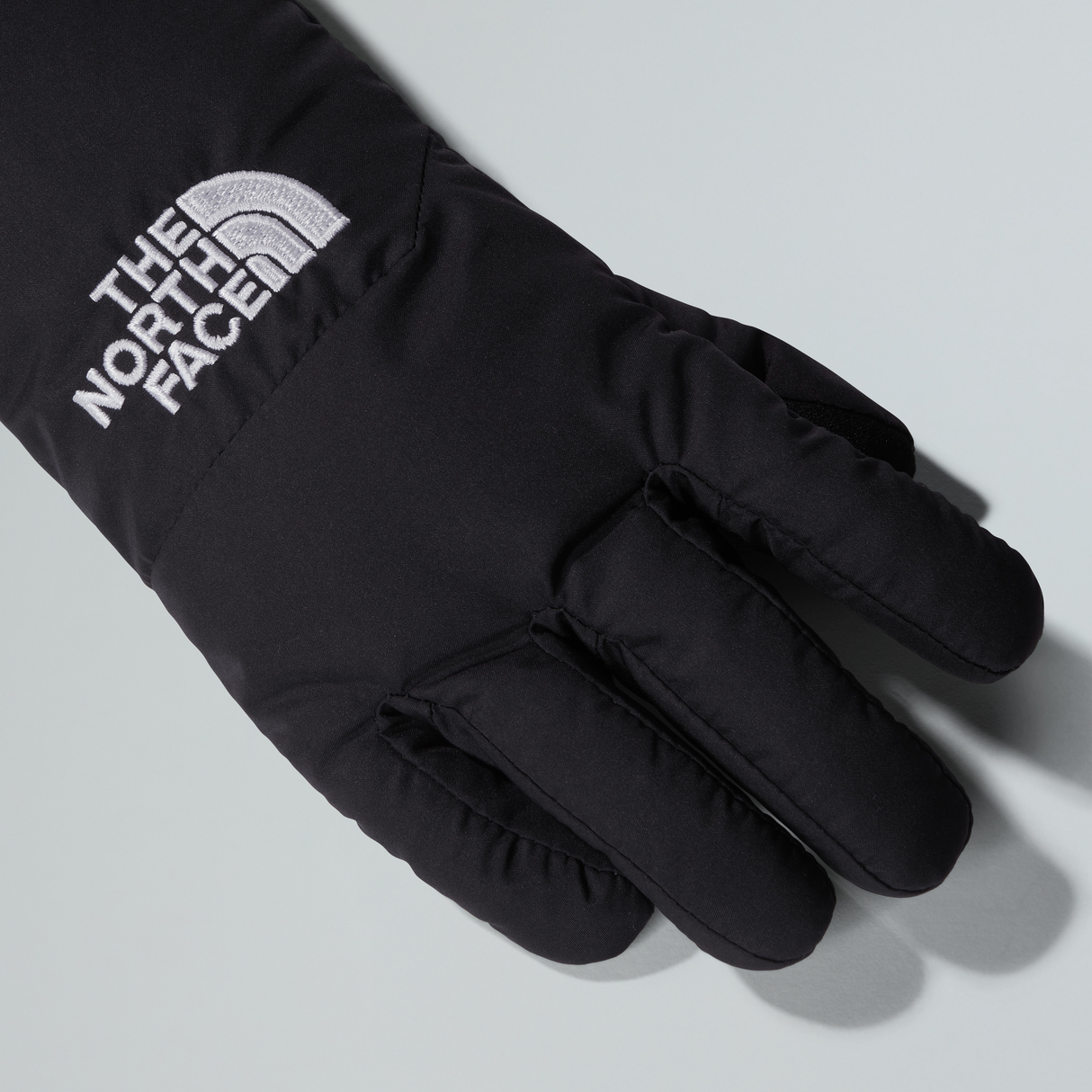 tnf_asset:NF0A888NJK3-ALT3