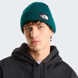 tnf_asset:NF0A8CGZN4J-ALT1