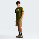 tnf_asset:NF0A8GUXBRI-ALT1