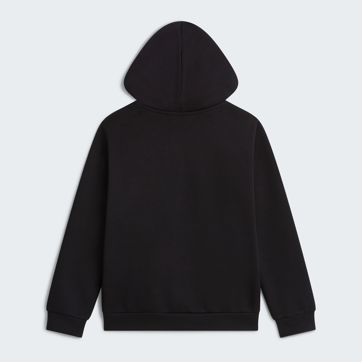 tnf_asset:NF0A8CV6JK3-ALT1