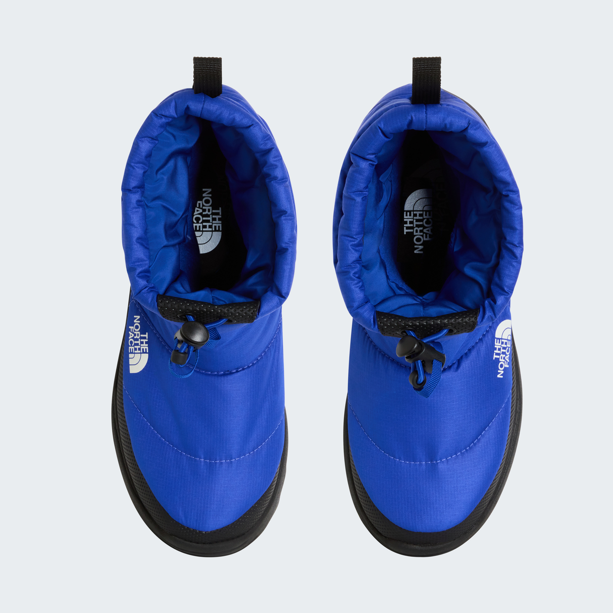 tnf_asset:NF0A8AB2EF1-ALT1