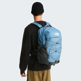 tnf_asset:NF0A52SENRD-ALT1