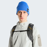 tnf_asset:NF0A8HMGNLQ-ALT1
