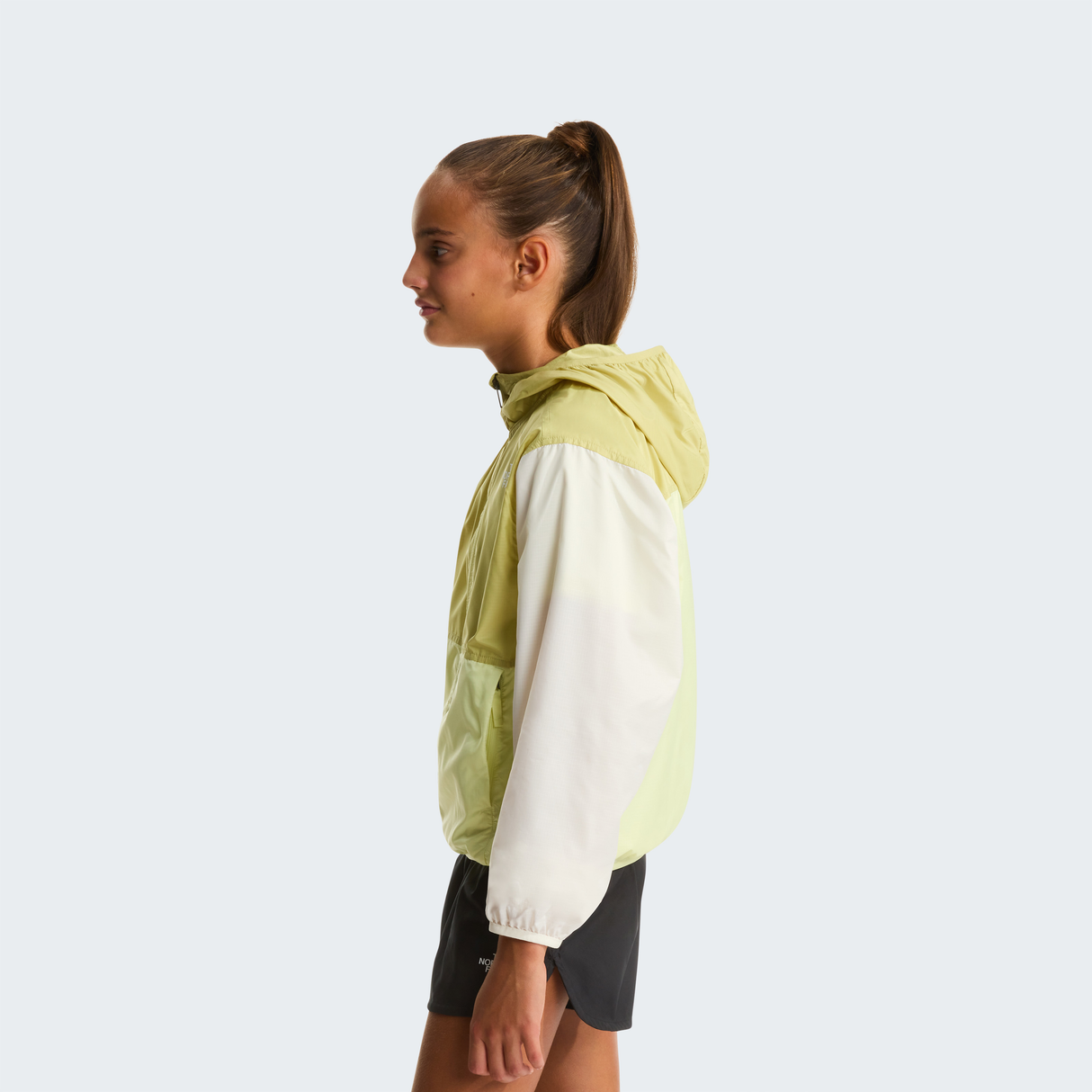 tnf_asset:NF0A8ANNPES-ALT3
